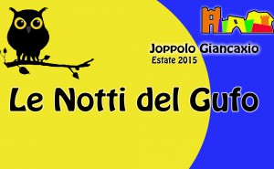 le notti del gufo 2015 pe facebook banner